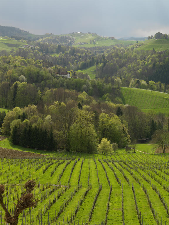 Hotel Weingut Skoff Original Gamlitz Esterno foto